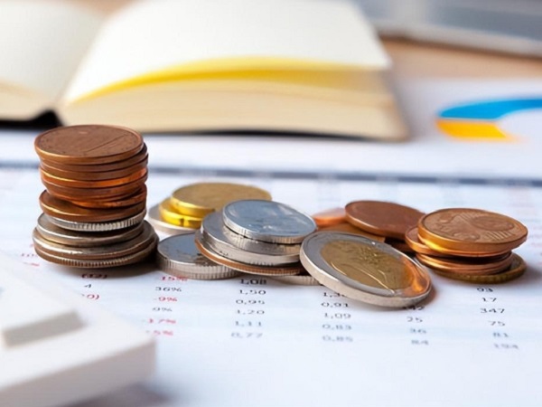 Financial Flexibility